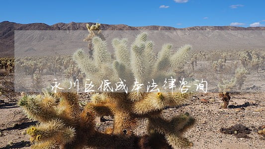 永川区低成本法律咨询 永川区低成本法律咨询