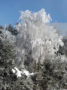 永川区采购合同律师 永川区采购合同律师