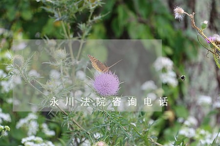 永川法院咨询电话 永川法院咨询电话