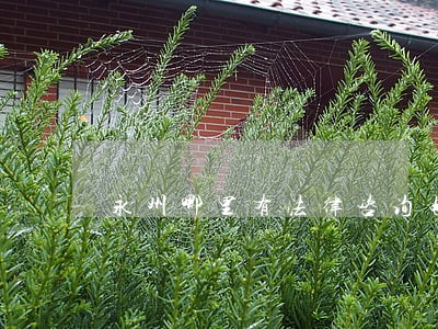 永州哪里有法律咨询电话