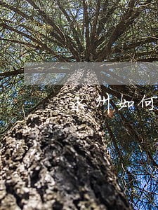 永州如何申请法律援助 永州如何申请法律援助