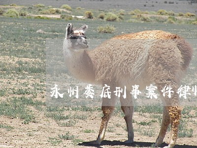 永州娄底刑事案件律师 永州娄底刑事案件律师