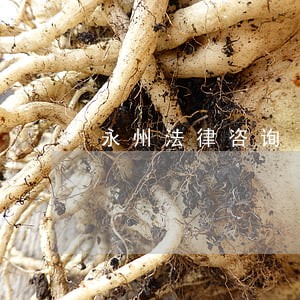 永州法律咨询 永州法律咨询