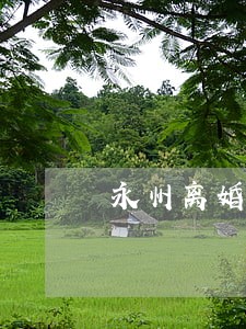 永州离婚律师咨询免费 永州离婚律师咨询免费
