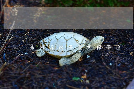 永州诉讼保全担保保险