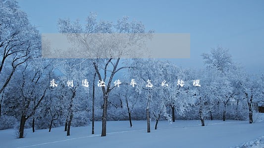 永州违法停车怎么处理 永州违法停车怎么处理