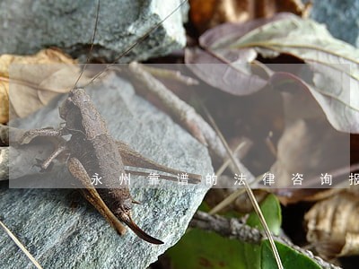 永州靠谱的法律咨询报价 永州靠谱的法律咨询报价