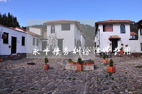 永平债务纠纷律师费用 永平债务纠纷律师费用