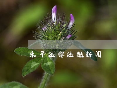 永平法律法规新闻 永平法律法规新闻