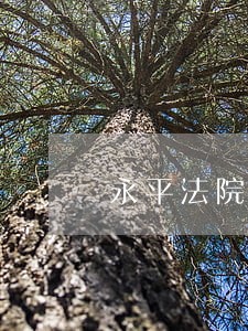 永平法院上好法警集训第一课