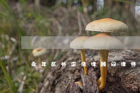 永年区外企法律顾问律师怎么收费