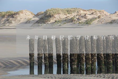 永年县移民留学律师在线免费咨询 永年县移民留学律师在线免费咨询