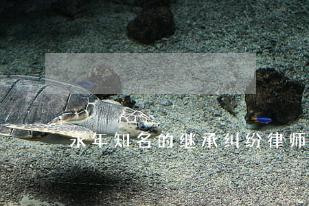 永年知名的继承纠纷律师辩护 永年知名的继承纠纷律师辩护
