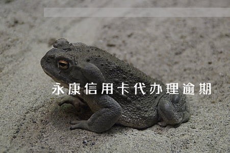 永康信用卡代办理逾期 永康信用卡代办理逾期
