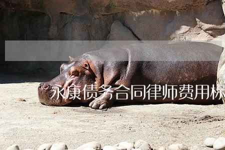 永康债务合同律师费用标准 永康债务合同律师费用标准