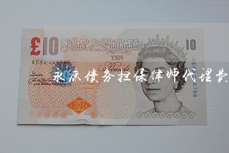 永康债务担保律师代理费 永康债务担保律师代理费