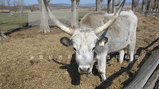 永康债务担保律师委托收费 永康债务担保律师委托收费