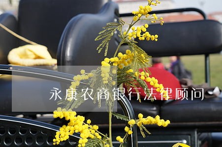 永康农商银行法律顾问 永康农商银行法律顾问