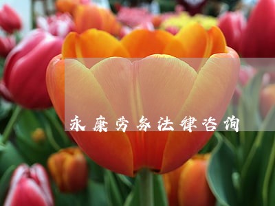 永康劳务法律咨询 永康劳务法律咨询