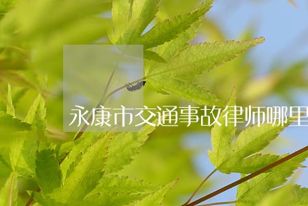 永康市交通事故律师哪里专业 永康市交通事故律师哪里专业
