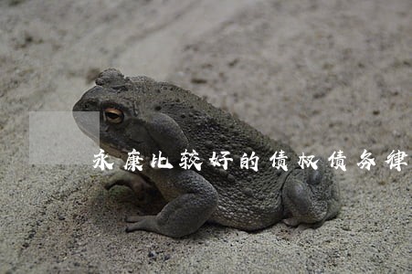 永康比较好的债权债务律师 永康比较好的债权债务律师