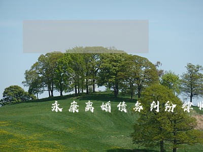 永康离婚债务纠纷律师事务所 永康离婚债务纠纷律师事务所