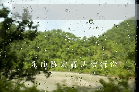 永康陈宏辉法院诉讼