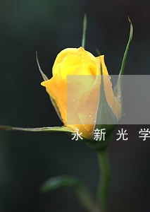 永新光学理财逾期 永新光学理财逾期