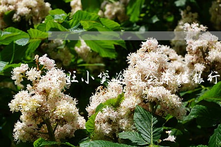 永旺小贷逾期会冻结银行卡吗