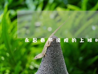 永昌春节法院的上班时间表 永昌春节法院的上班时间表