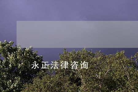 永正法律咨询 永正法律咨询