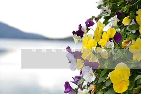 永泰债务律师团队 永泰债务律师团队