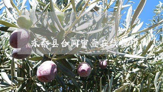 永泰县合同审查在线律师 永泰县合同审查在线律师