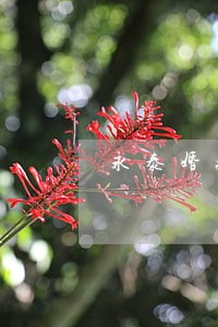 永泰婚姻继承律师费用 永泰婚姻继承律师费用