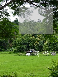 永济哪个律师比较好 永济哪个律师比较好