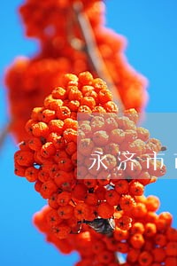 永济市市人民法院虞乡法庭