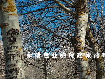 永清专业的保险索赔律师公司 永清专业的保险索赔律师公司