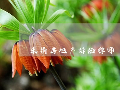 永清房地产诉讼律师 永清房地产诉讼律师