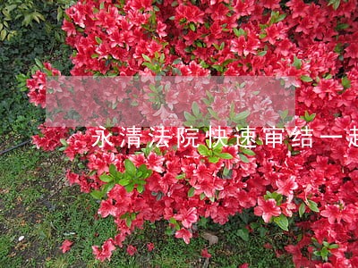 永清法院快速审结一起涉农案 永清法院快速审结一起涉农案