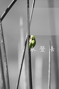 永登县水利电力免费法律咨询 永登县水利电力免费法律咨询