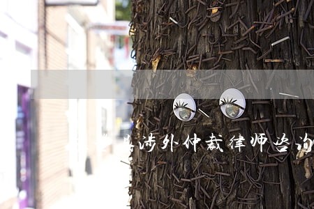 永登县涉外仲裁律师咨询电话