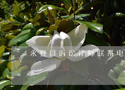 永登县诉讼律师联系电话 永登县诉讼律师联系电话