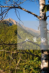 永登的律师