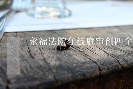 永福法院在线庭审创四个第一 永福法院在线庭审创四个第一