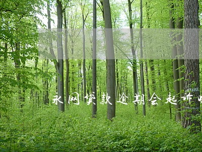 永网贷款逾期会起诉吗