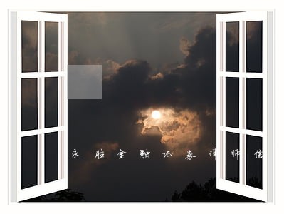 永胜金融证券律师信息在线查询