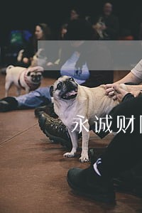永诚财险黑龙江公司违法老总遭罚 永诚财险黑龙江公司违法老总遭罚