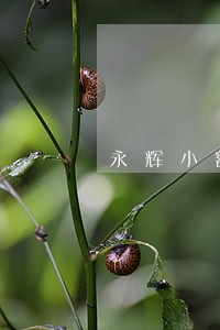 永辉小额贷款逾期怎么协商 永辉小额贷款逾期怎么协商