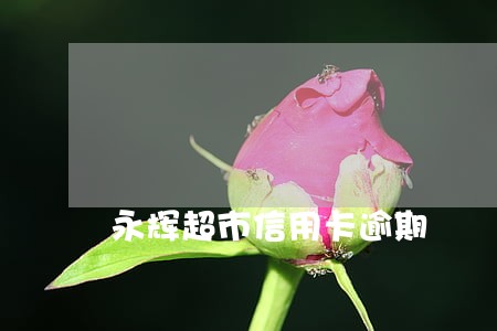 永辉超市信用卡逾期