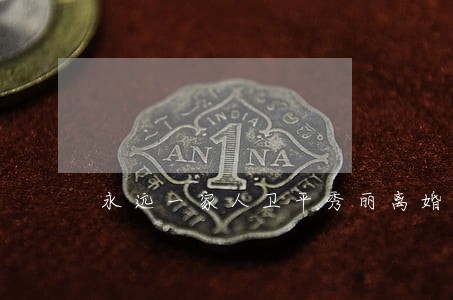 永远一家人卫平秀丽离婚后续